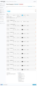 SociallyViral Typography Settings