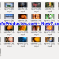 SportsStockVids1-2-MRR-infoproductos.com-now7.com
